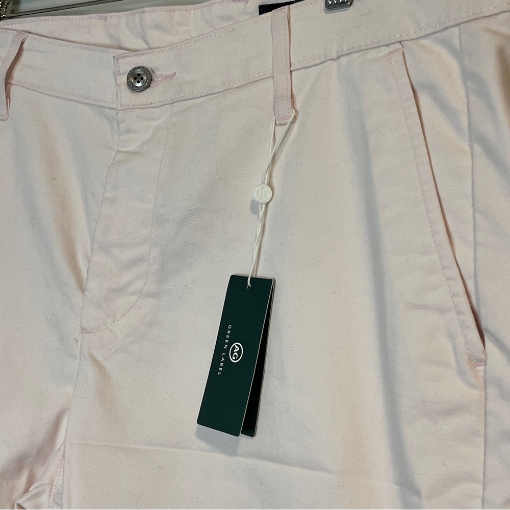 AG Adriano Goldschmied Men's Pink The Canyon Shorts Green label Size 40 - Picture 3 of 7